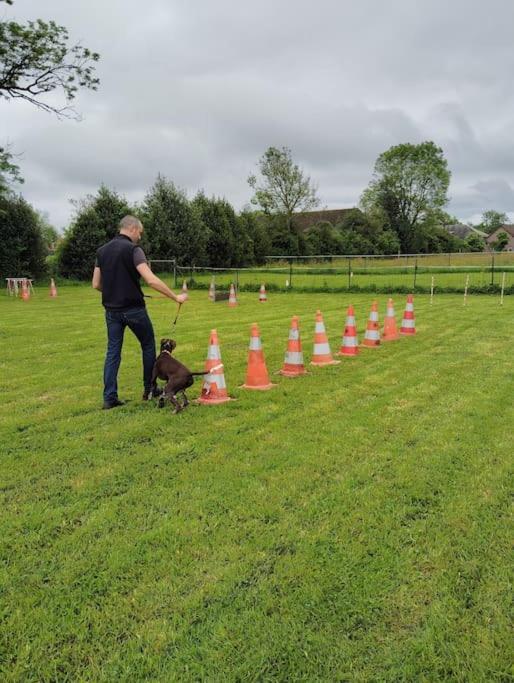 Gite Au Ptit Canin Moyenneville  Esterno foto